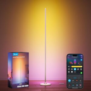 Govee RGBIC Floor Lamp Basic, LED C...