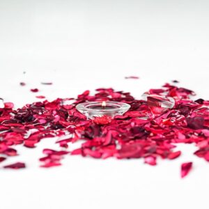 WGV Sturdy Tea Light Votive Candle ...