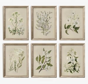 Vintage Botanical Wall Art Set of 6...