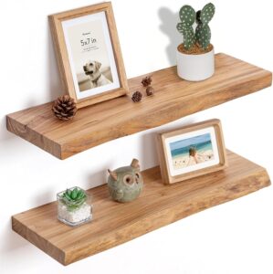 Fun Memories Floating Shelves for W...