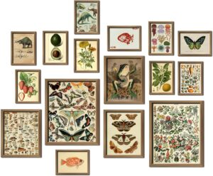 16 PCS Framed Vintage Wall Art Deco...