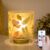 Battery Operated Small Lamp with Remote Control, Cordless Table Lamps with Timer, Portable Dimmable Brightness Bird Pattern Desk Lamp for Home Decorative Kids Bedroom (Blossom)