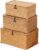 Nonam Storage Basket with Lid, Natural Seagrass Bin with Lid Set of 3, Shelf Baskets Multipurpose Container for Boho Decoration, Rectangular Household Storage Boxes for Home Organization-Natural